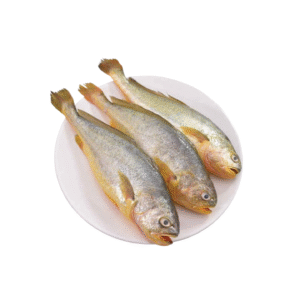 Poa Fish (পোয়া মাছ)