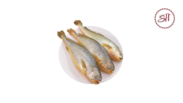 Poa Fish (পোয়া মাছ)